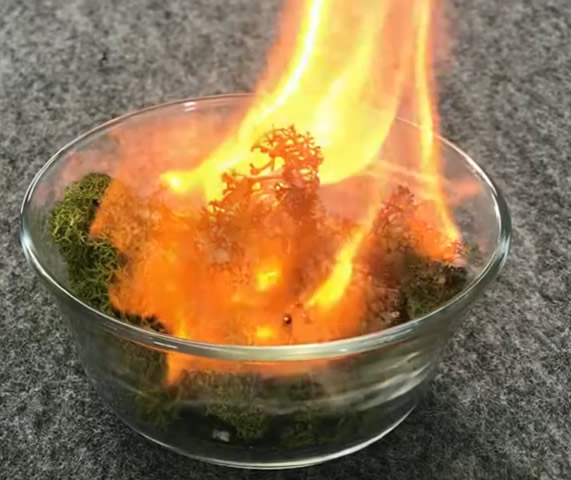 mosswall02.jpg